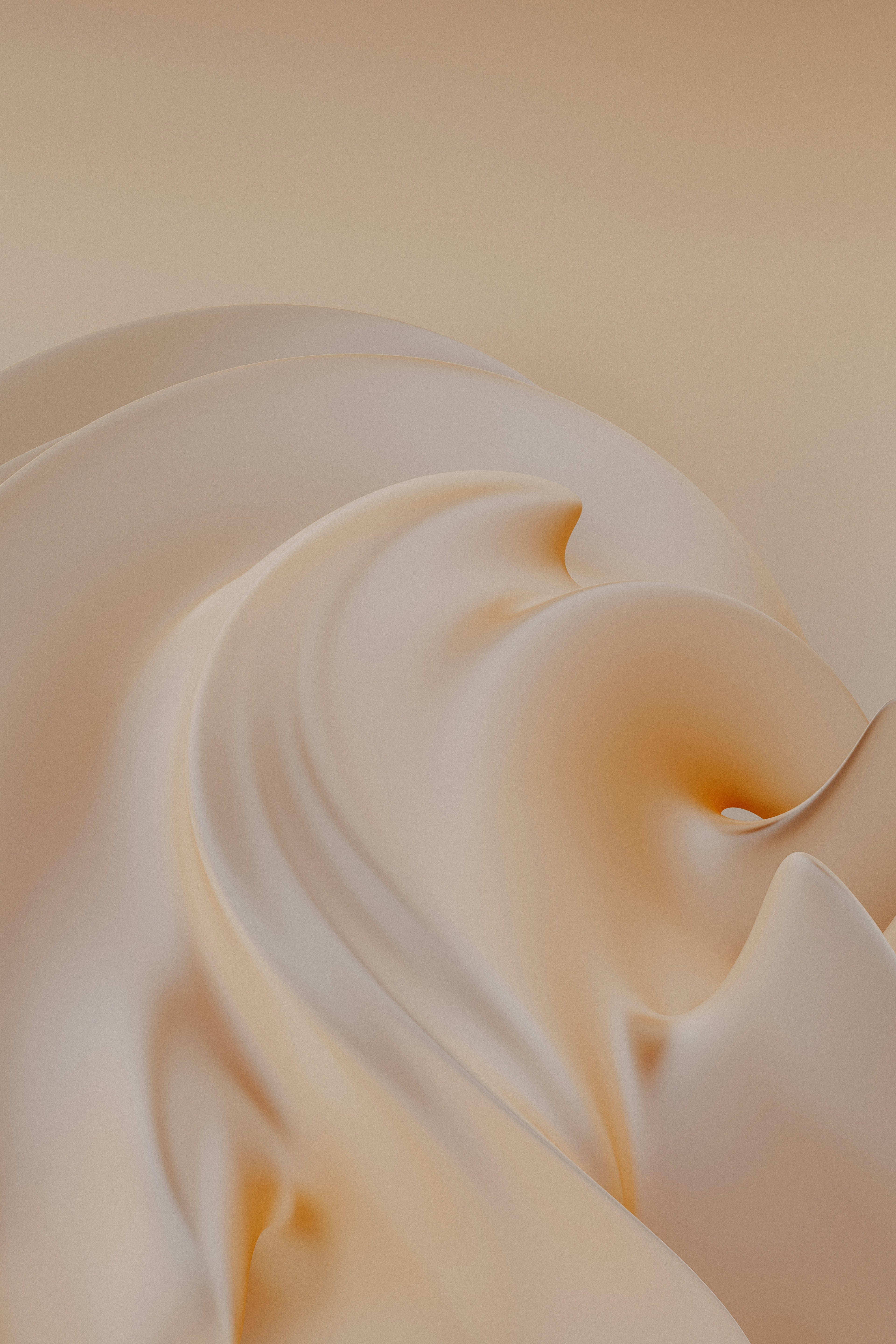 Tallow Beauty Products